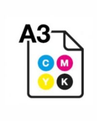 Fotocopia a3 colore